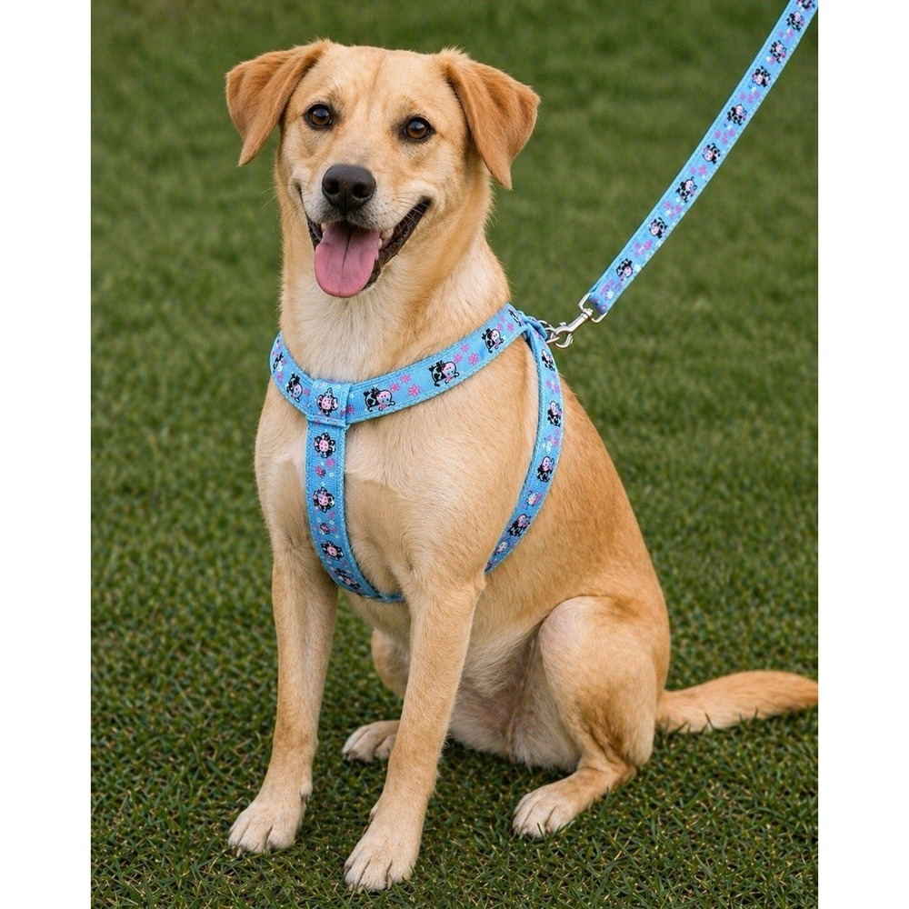 Dog Harness & Leash Set Adjustable For Small / Medium Dogs Blue Cow Print